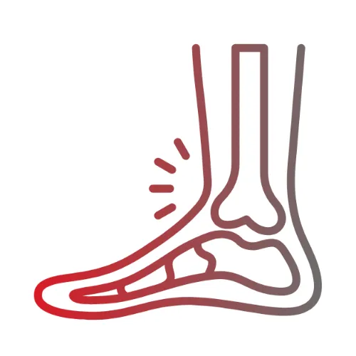 Ankle