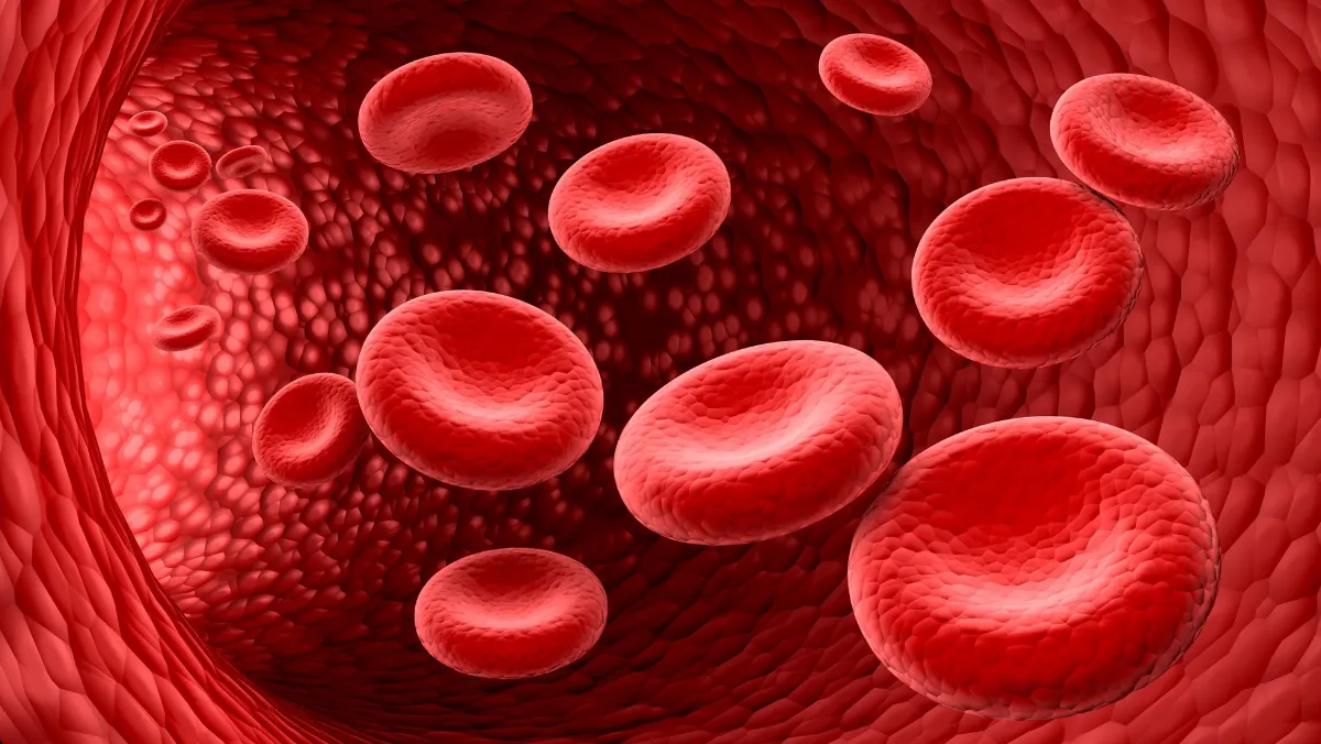 Blood Disorders