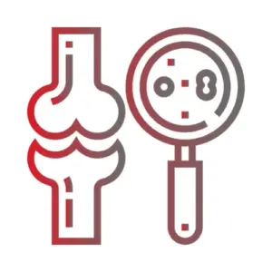 Transplant Overview