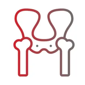Types of Transplant
