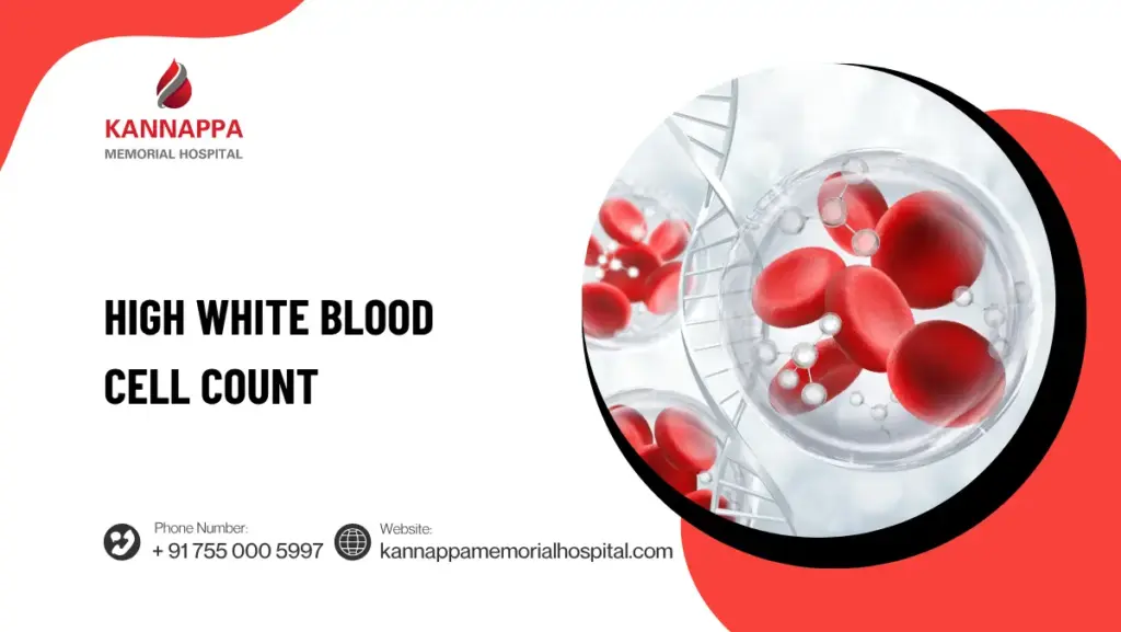 High White Blood Cell Count