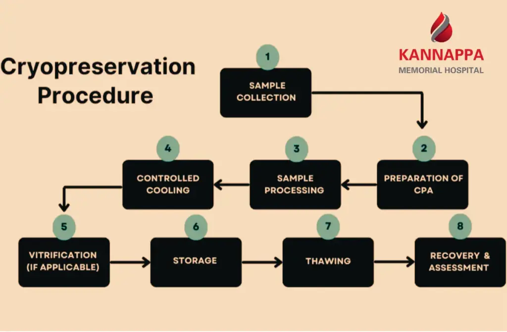 Cryopreservation of Stem Cells