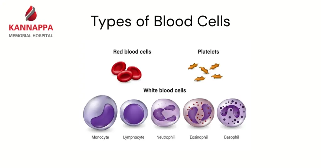 Best Hematologist in Kilpauk