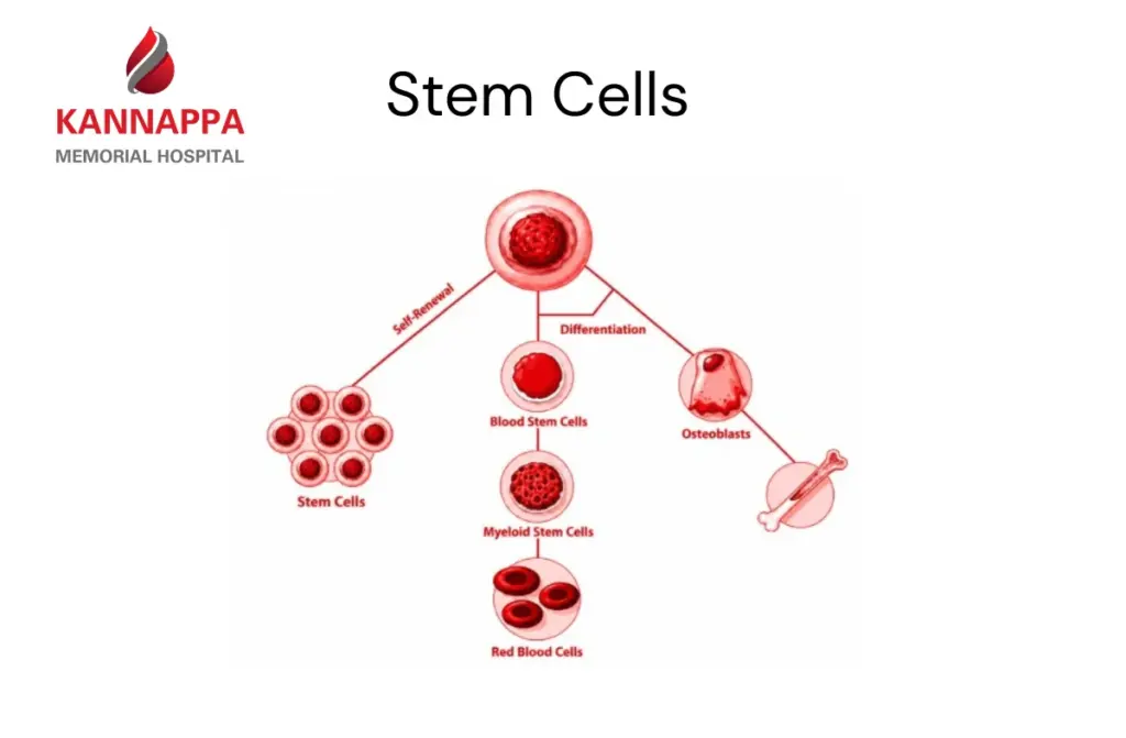 Peripheral blood stem cell transplant 