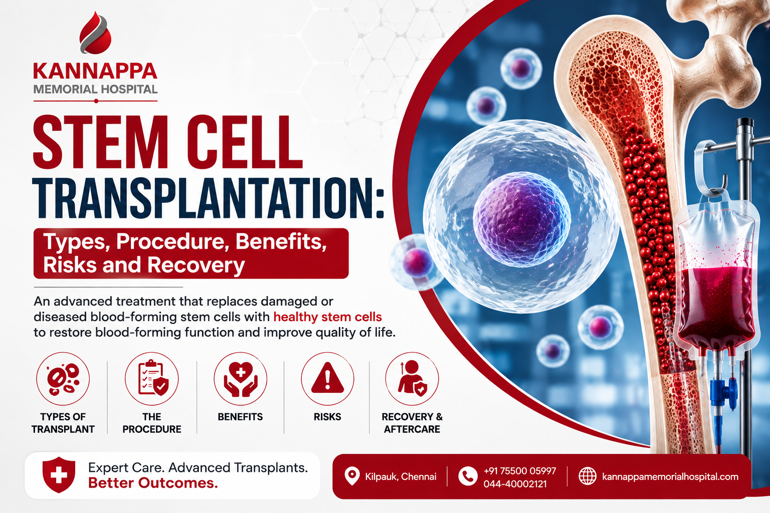 Stem Cell Transplantation: Types, Procedure, Benefits, Risks and Recovery